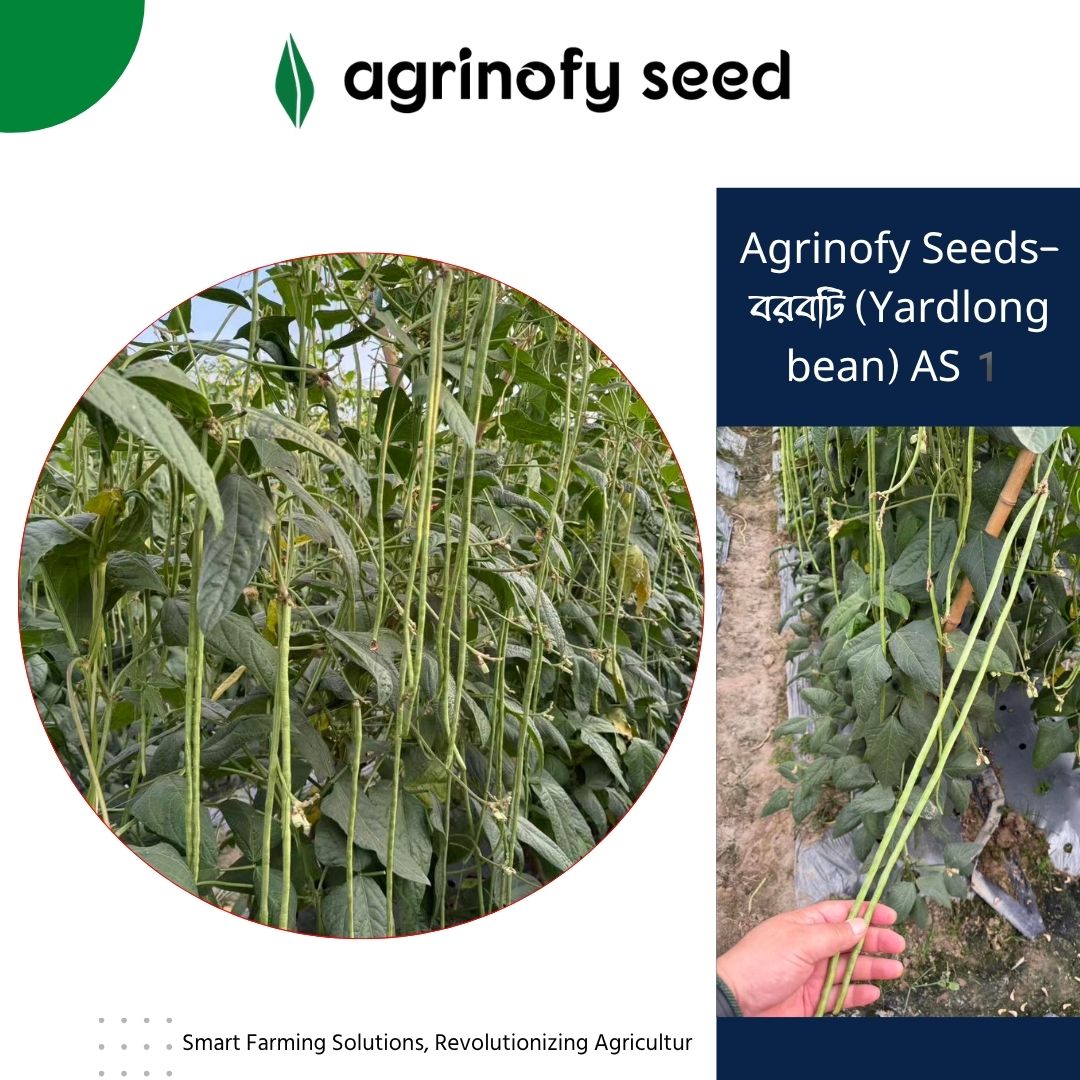 Agrinofy Seeds- Yardlong bean AS1